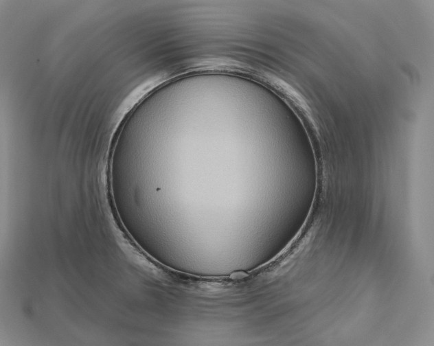 X0000115191330200911121814