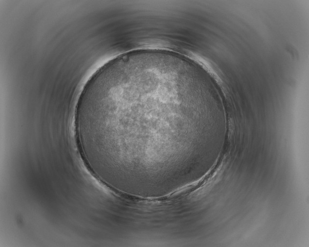 X0000115191331200911121814