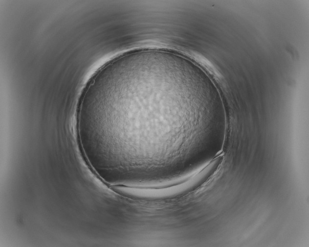 X0000115191334200911121814