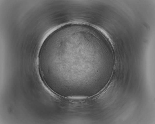 X0000115191335200911121814