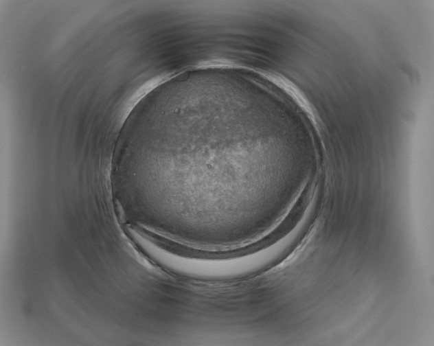 X0000115191337200911121814