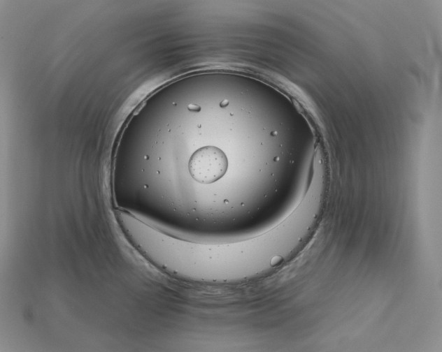X0000115191338200911121814