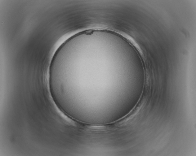 X0000115191343200911121814