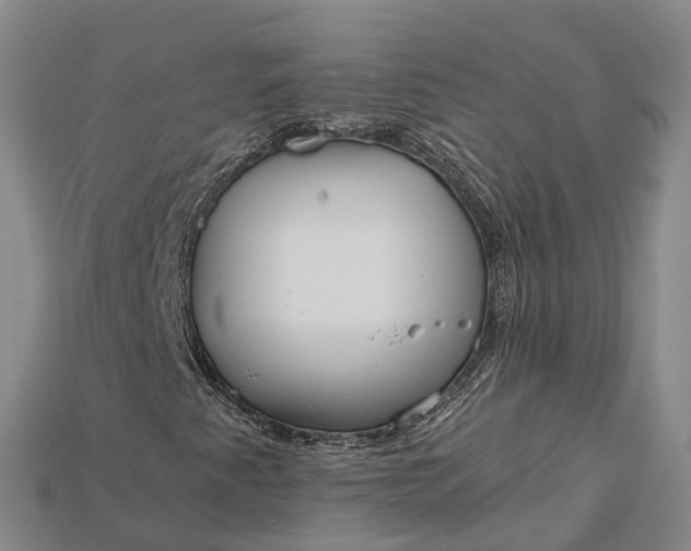 X0000115191345200911121814