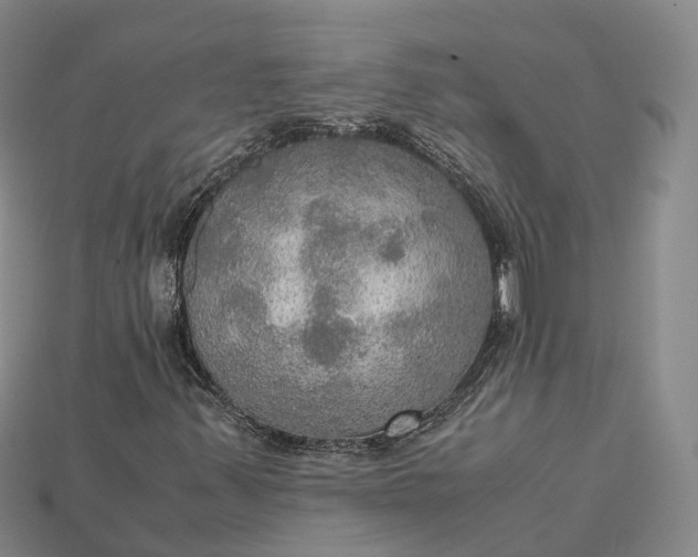 X0000115191347200911121814