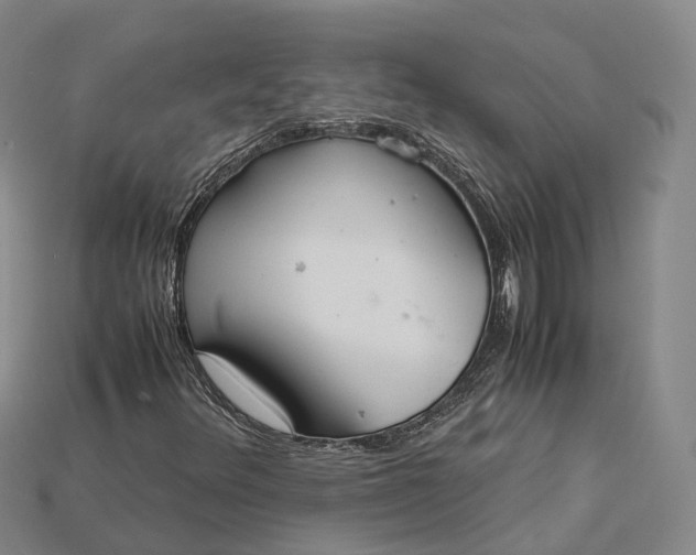 X0000115191348200911121814