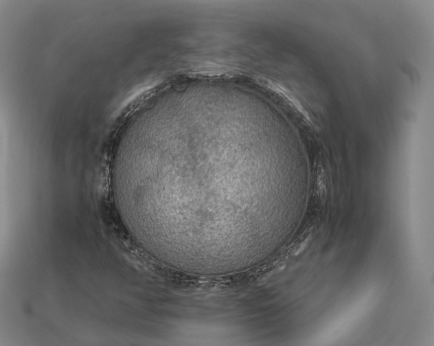 X0000115191350200911121814