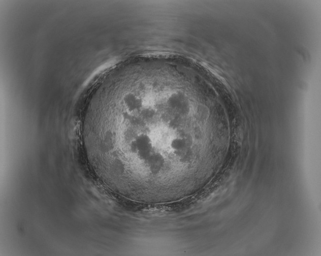 X0000115191351200911121814