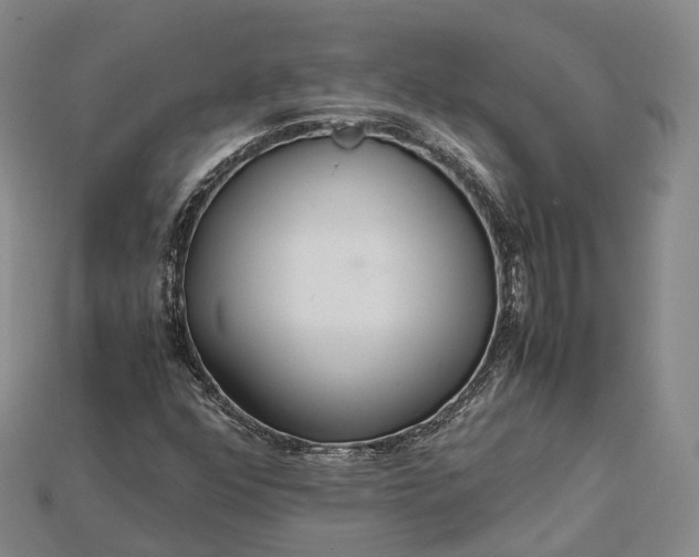 X0000115191352200911121814