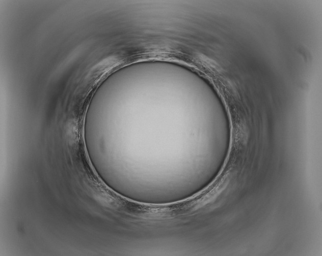 X0000115191353200911121814