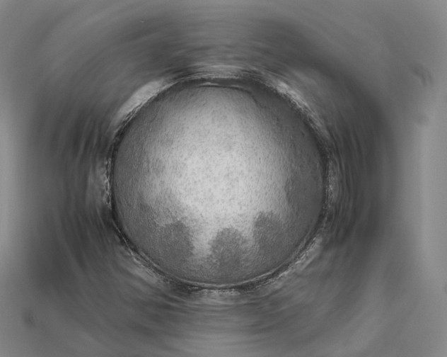 X0000115191354200911121814