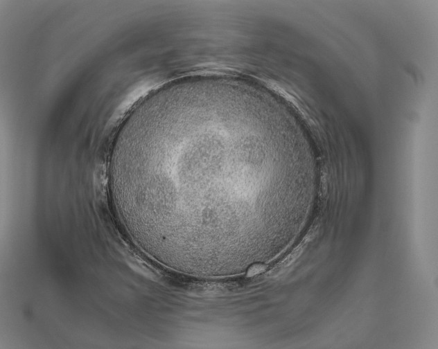 X0000115191355200911121813
