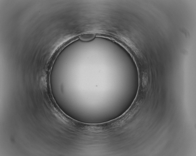 X0000115191356200911121813