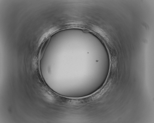 X0000115191357200911121813