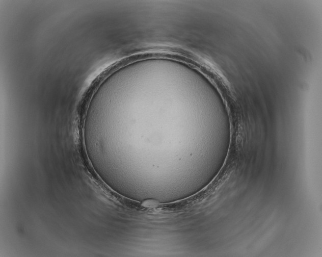 X0000115191360200911121813