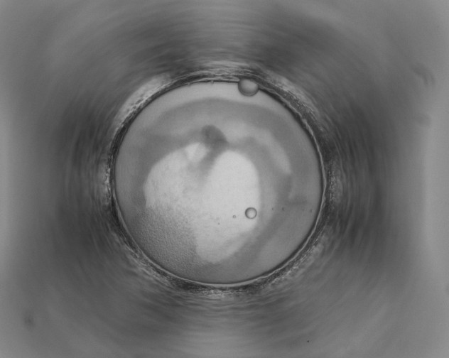X0000115191362200911121813