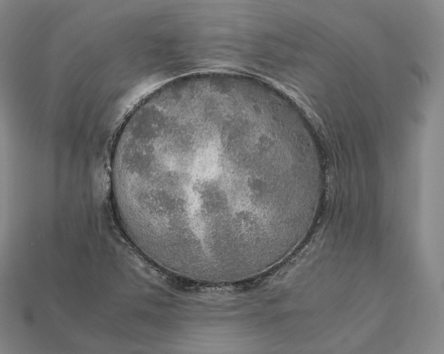 X0000115191363200911121813