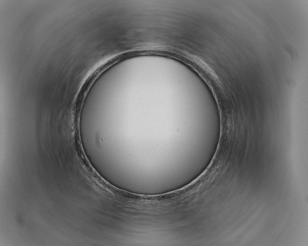 X0000115191364200911121813