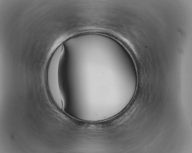 X0000115191365200911121813
