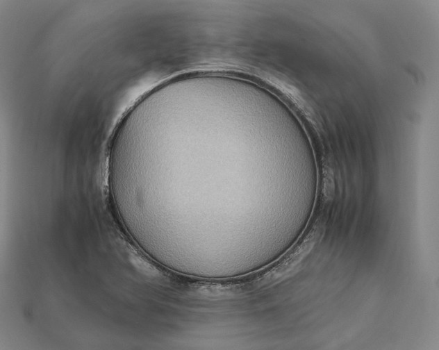 X0000115191366200911121813