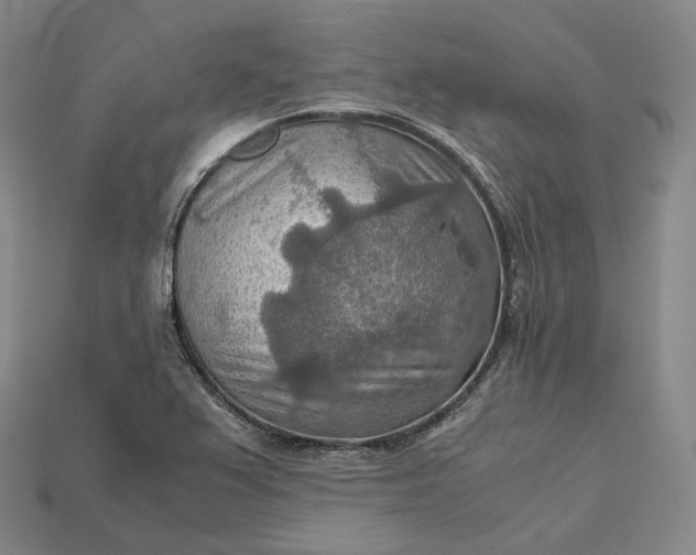 X0000115191367200911121813