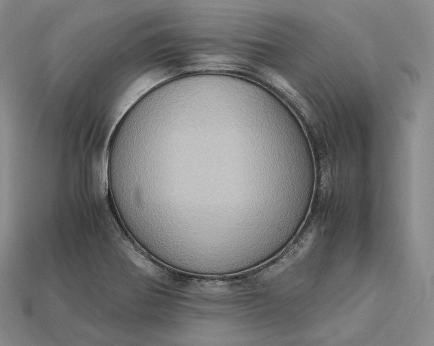 X0000115191370200911121813