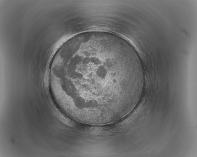 X0000115191371200911121813