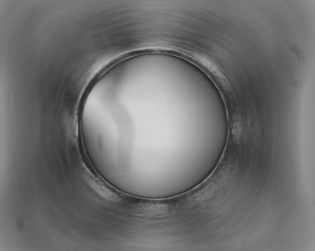 X0000115191372200911121813