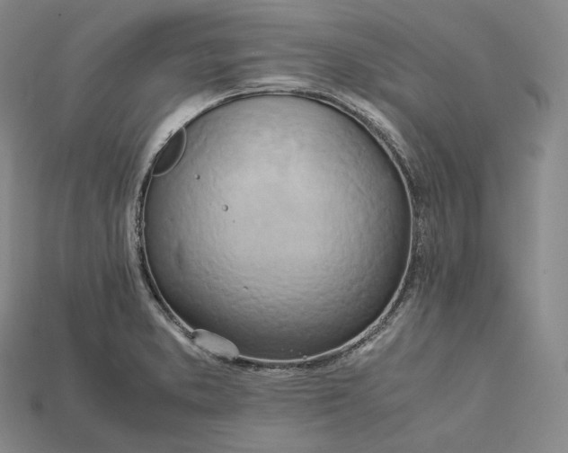 X0000115191373200911121813