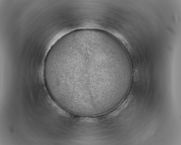 X0000115191374200911121813