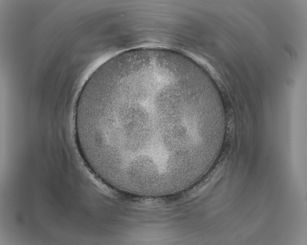 X0000115191375200911121813