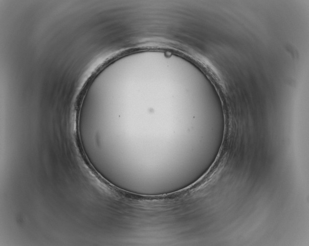 X0000115191376200911121813