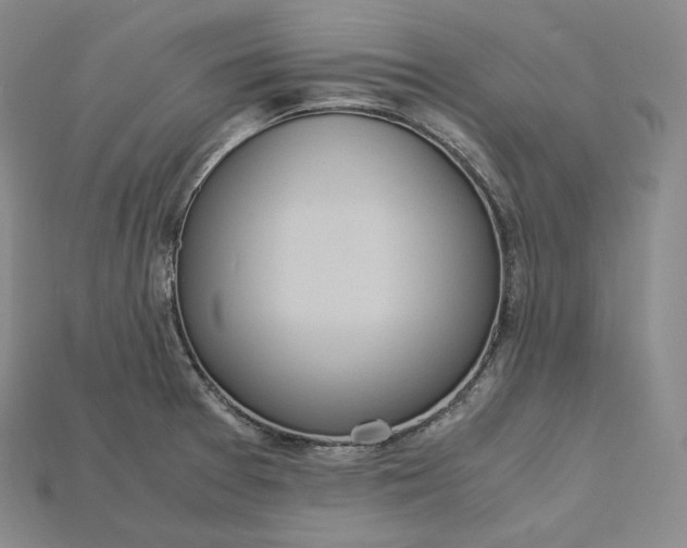 X0000115191377200911121813