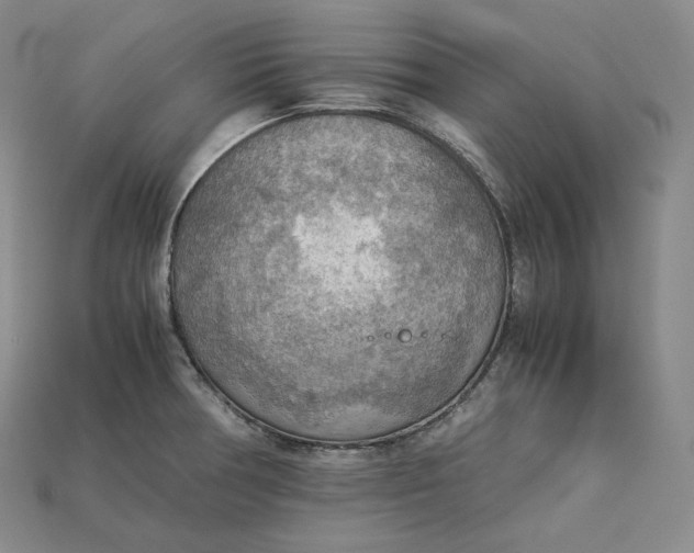 X0000115191378200911121813