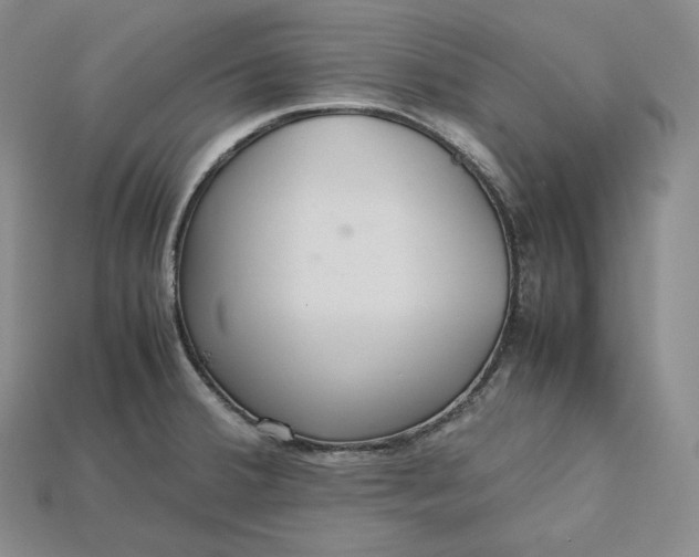 X0000115191380200911121813