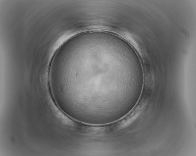 X0000115191381200911121813