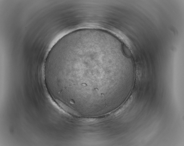 X0000115191382200911121813