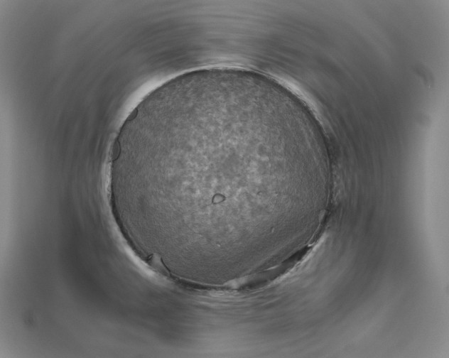 X0000115191383200911121813