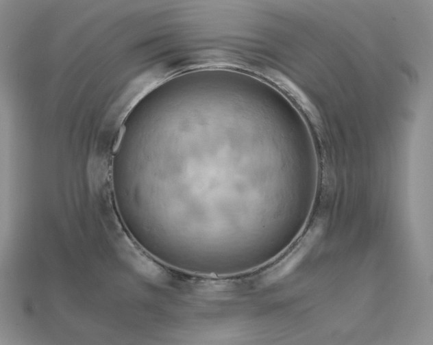 X0000115191385200911121813