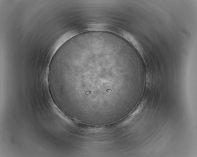 X0000115191386200911121813