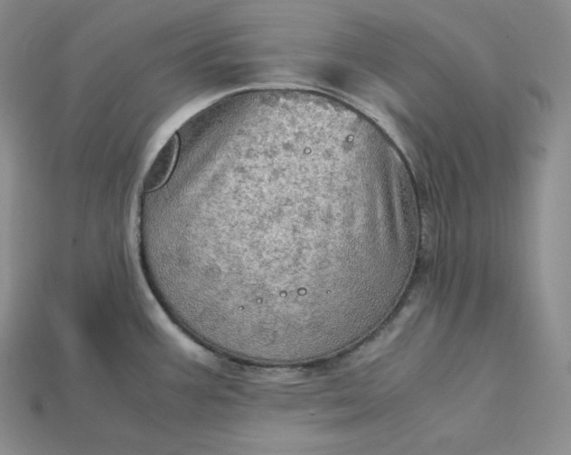 X0000115191387200911121813