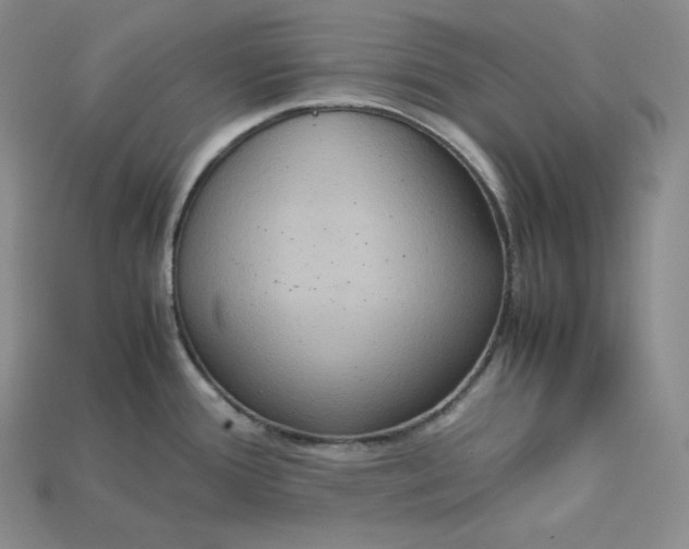 X0000115191388200911121813