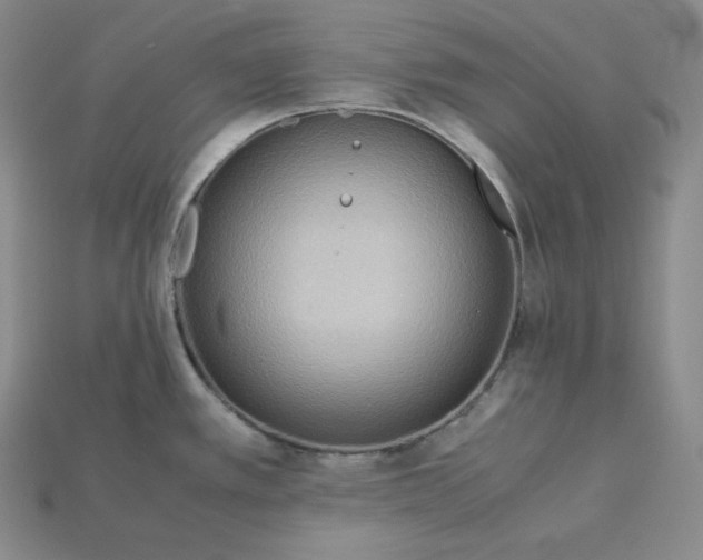 X0000115191389200911121813