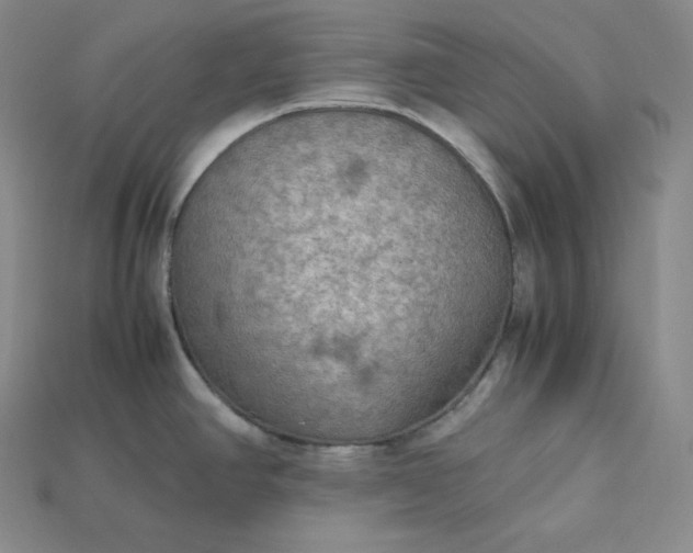 X0000115191390200911121813