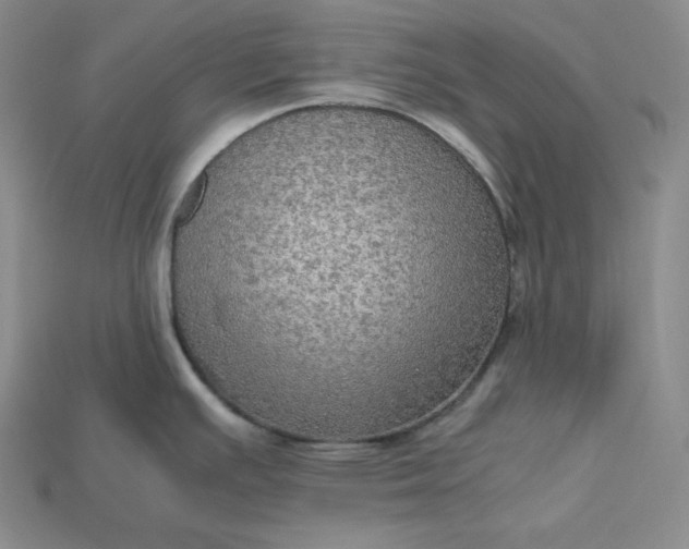 X0000115191391200911121813
