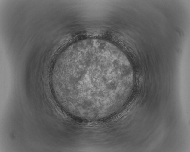 X0000115191393200911121812