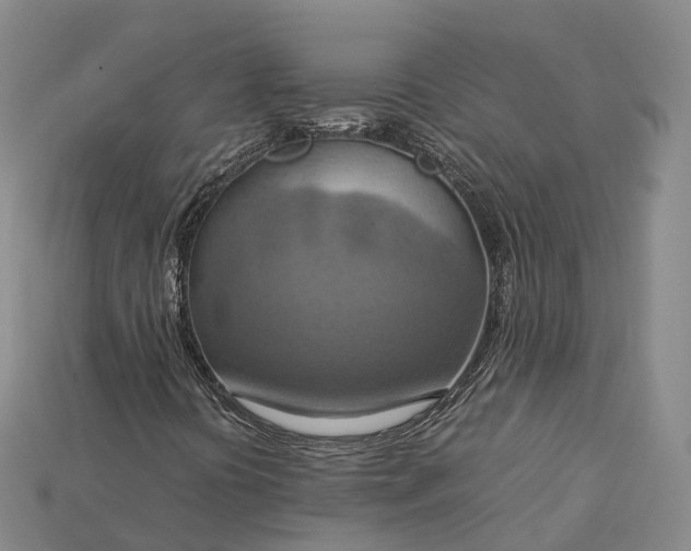 X0000115191394200911121812