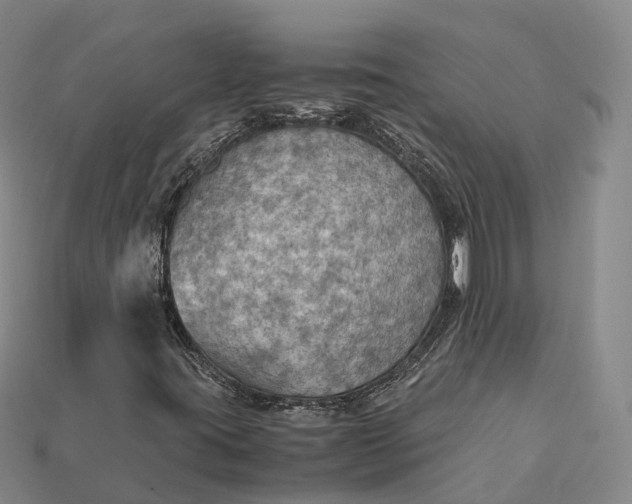 X0000115191395200911121812