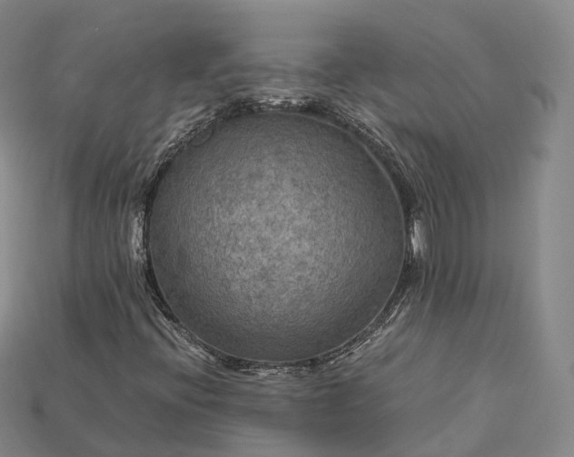 X0000115191396200911121812