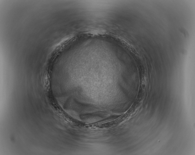 X0000115191398200911121812